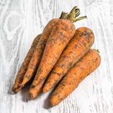 Морковь немытая